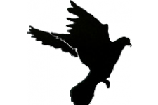 Logo for A World Without Police Logo for A World Without Police