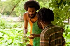 Photo of Helping Africa By Establishing Schools at Home and Abroad (HABESHA) Photo of Helping Africa By Establishing Schools at Home and Abroad (HABESHA)