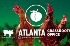 Photo of The Humane League – Atlanta Photo of The Humane League – Atlanta